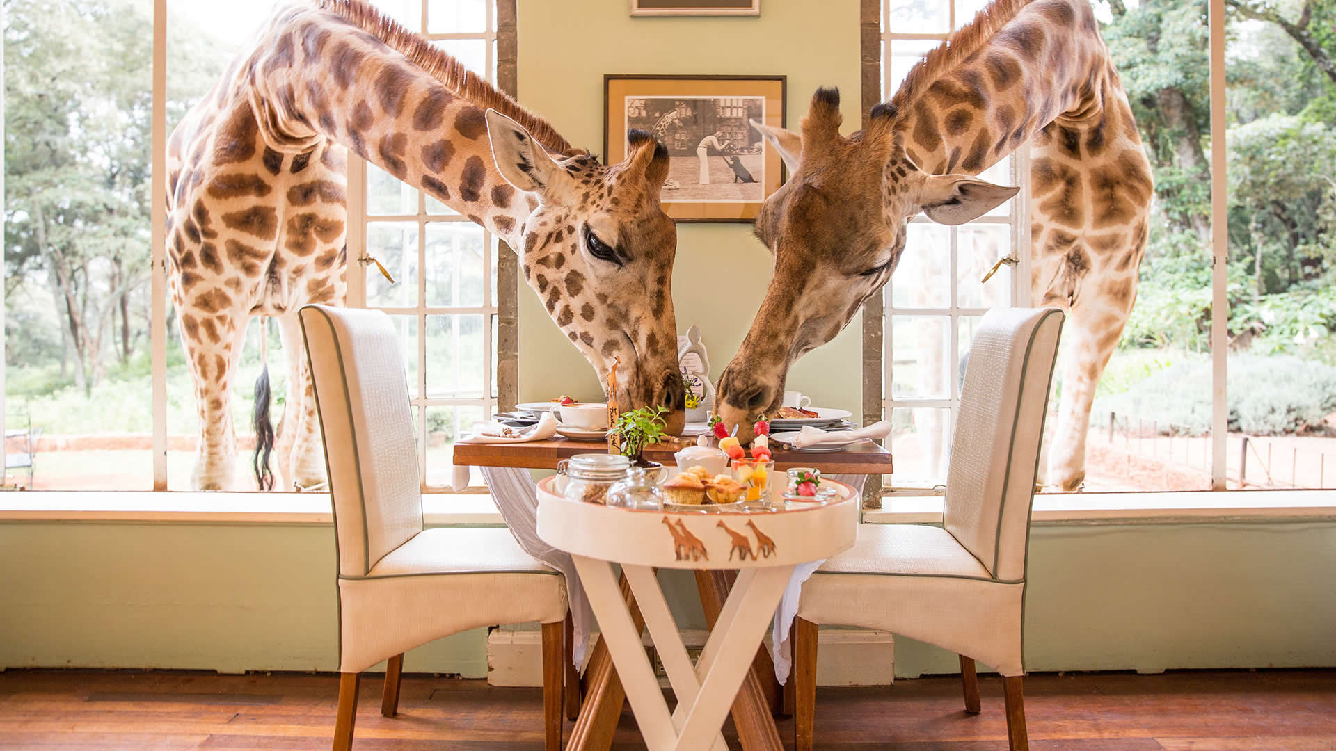 Giraffe Manor