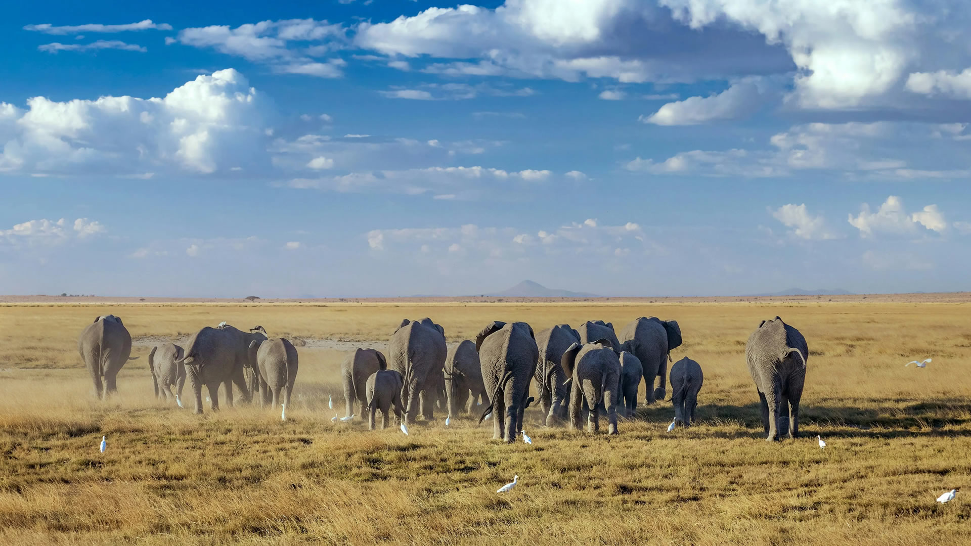 Amboseli National Park
