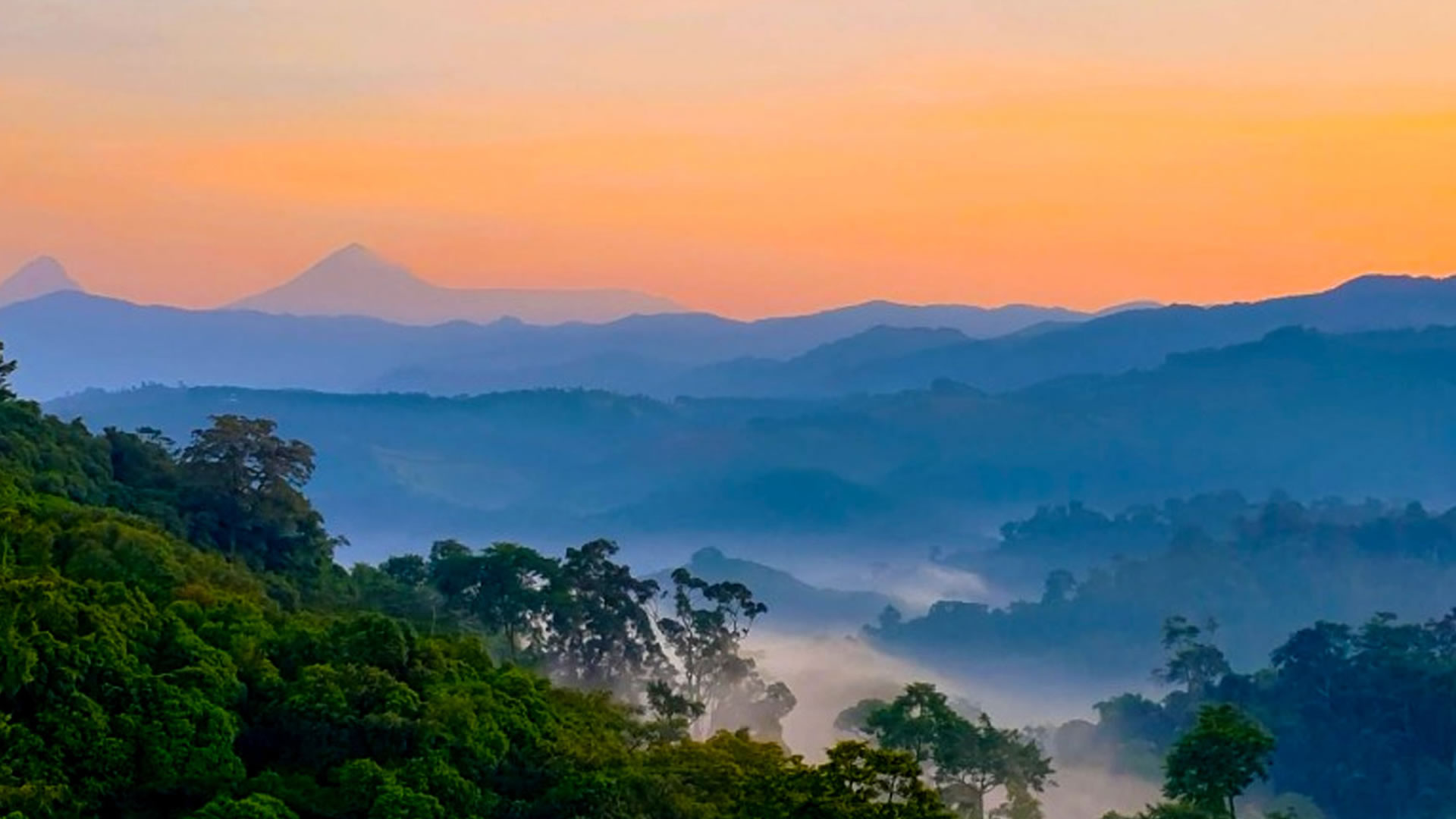 Gishwati Mukura National Park Gishwati Mukura National Park