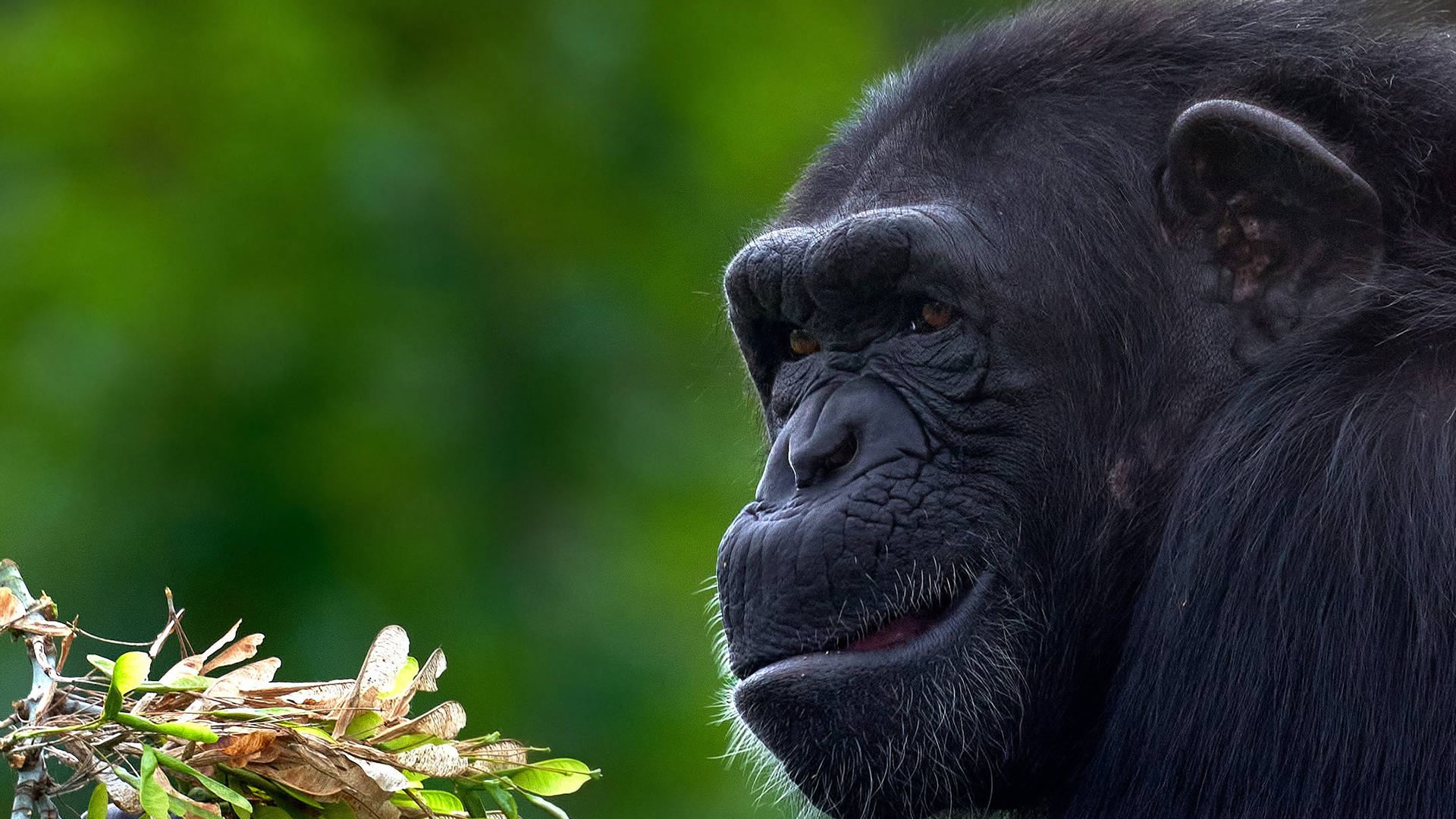 Kibale National Park