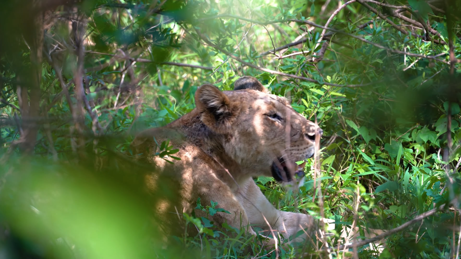 Lake Manyara National Park