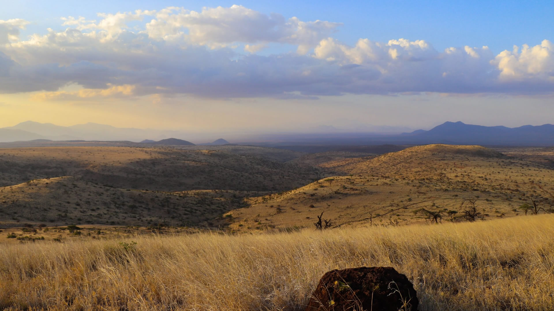 Lewa Conservancy Landscape