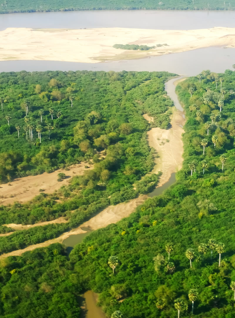 Nyerere National Park