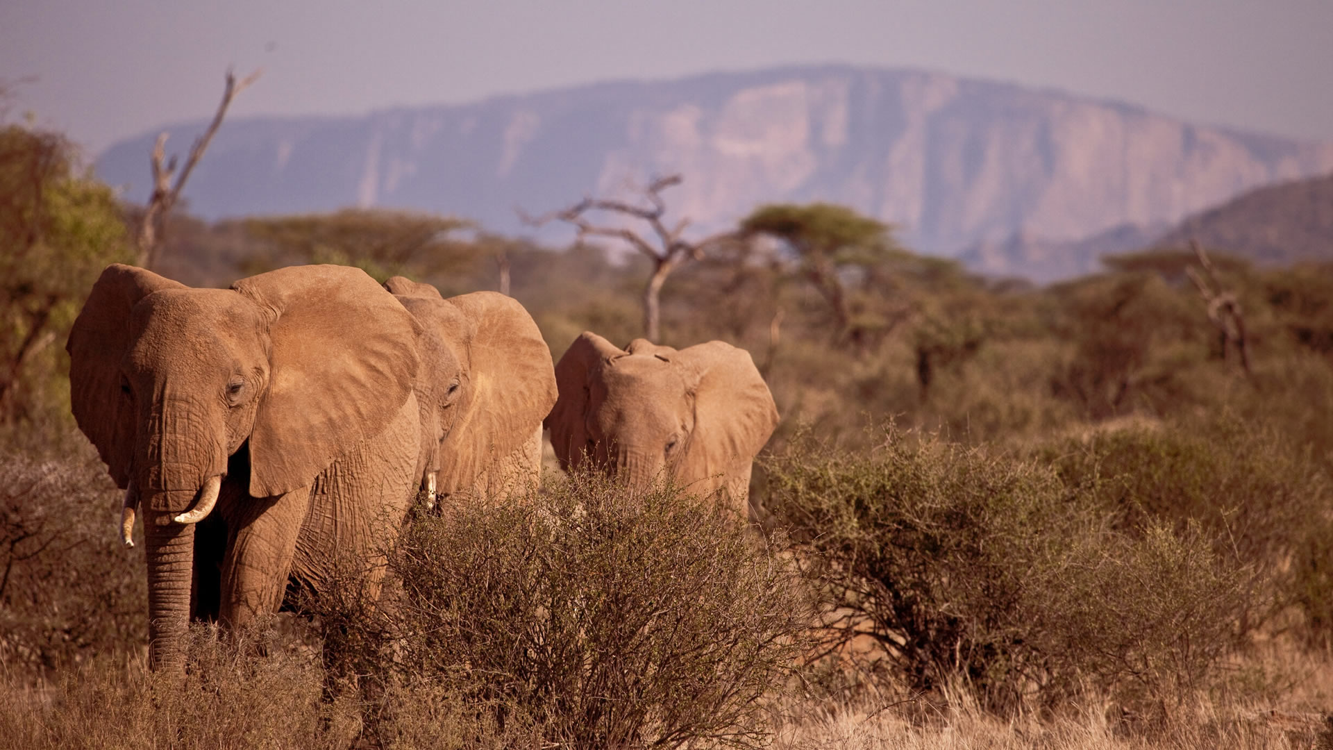 Samburu Game Reserve
