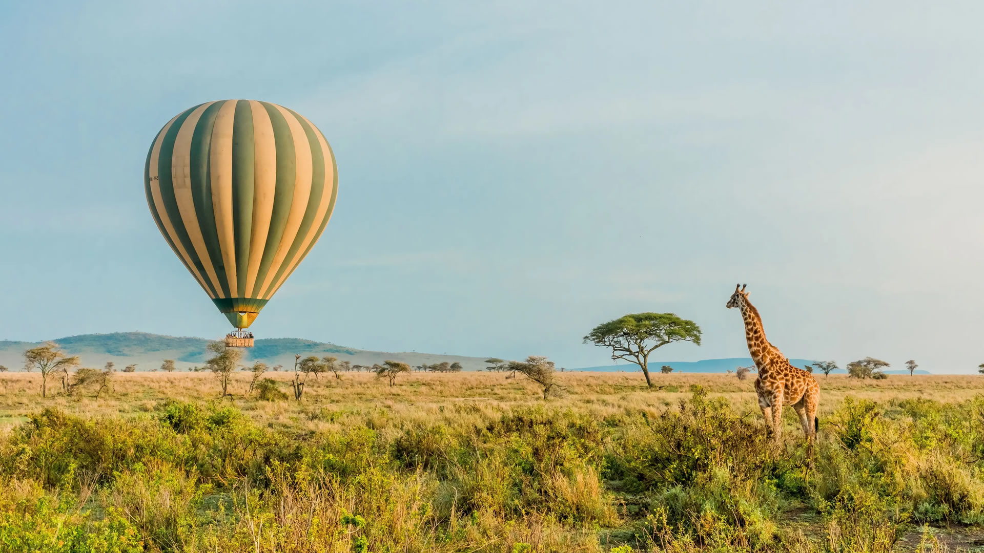Balloon ride at the Serengeti National Park 