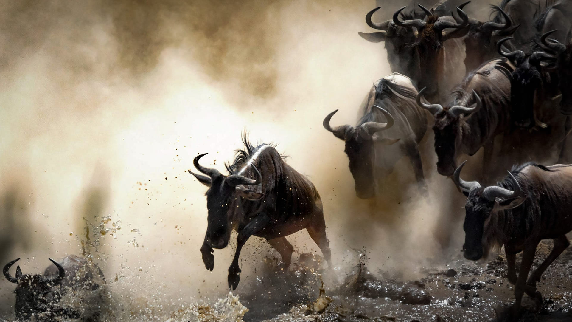 Top Destinations Tanzania