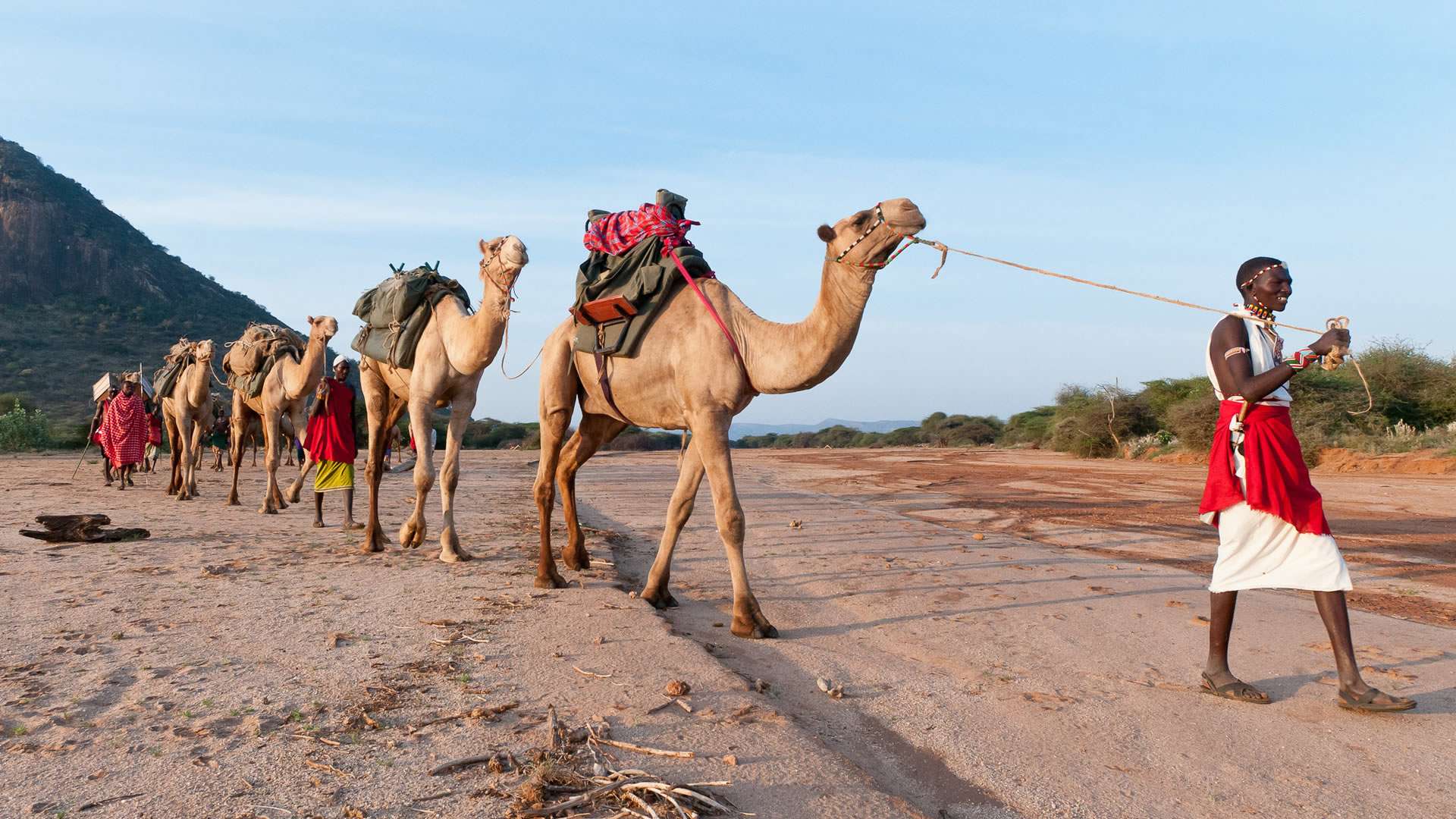 11 Days Luxury Walking Safari